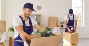 Eco-friendly packing options explained