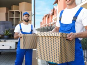 Easy House Removals - man with a van Pool?