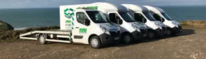 Which company is best for local and international movers
