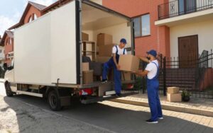 What are the different types of removal services